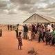 Illustration for article titled The UN Just Ordered 10,000 of Ikea's Brilliant Flatpack Refugee Shelters